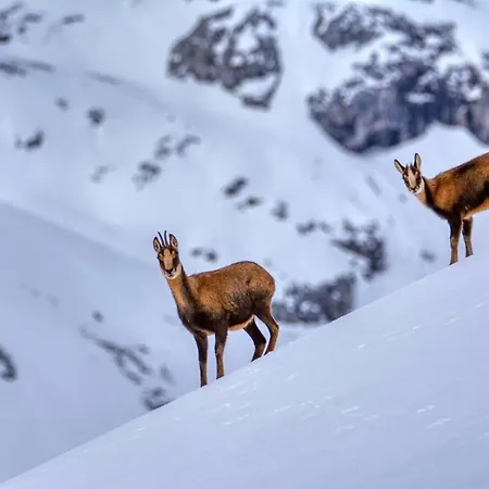 Сasa de vacaciones El Pedroso *