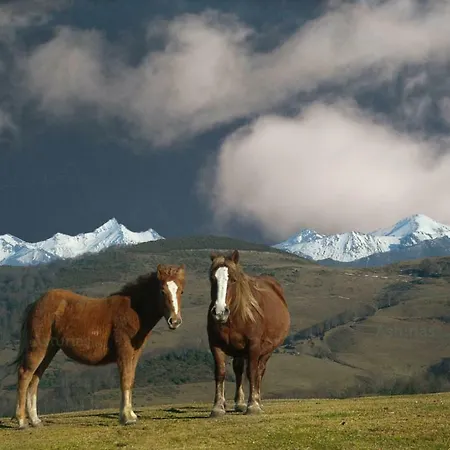 El Pedroso De Llanes