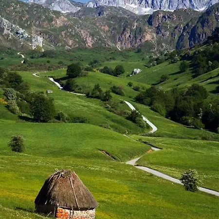 El Pedroso De Llanes *